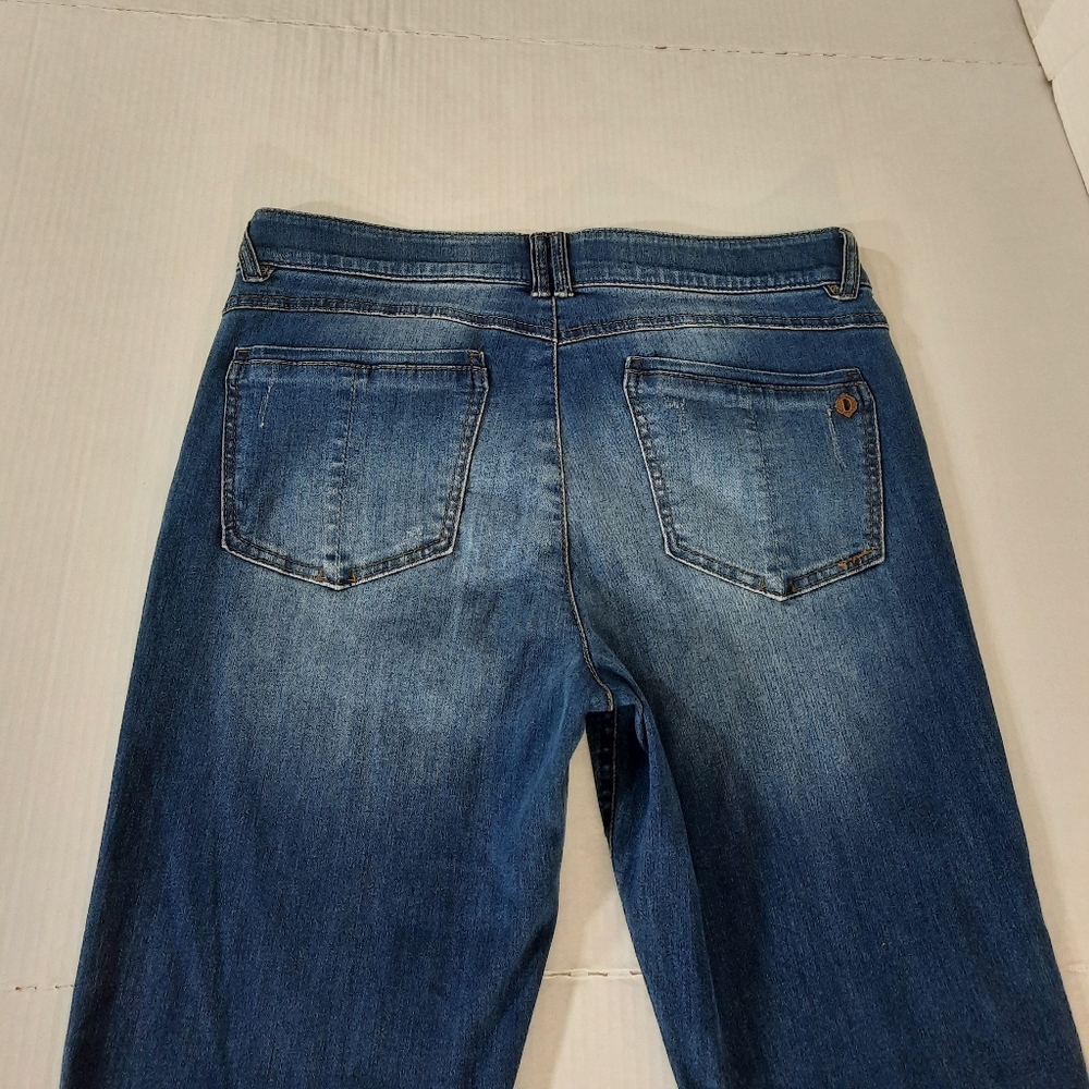 Democracy "Ab" Solution Distressed Itty Bitty Boo… - image 6